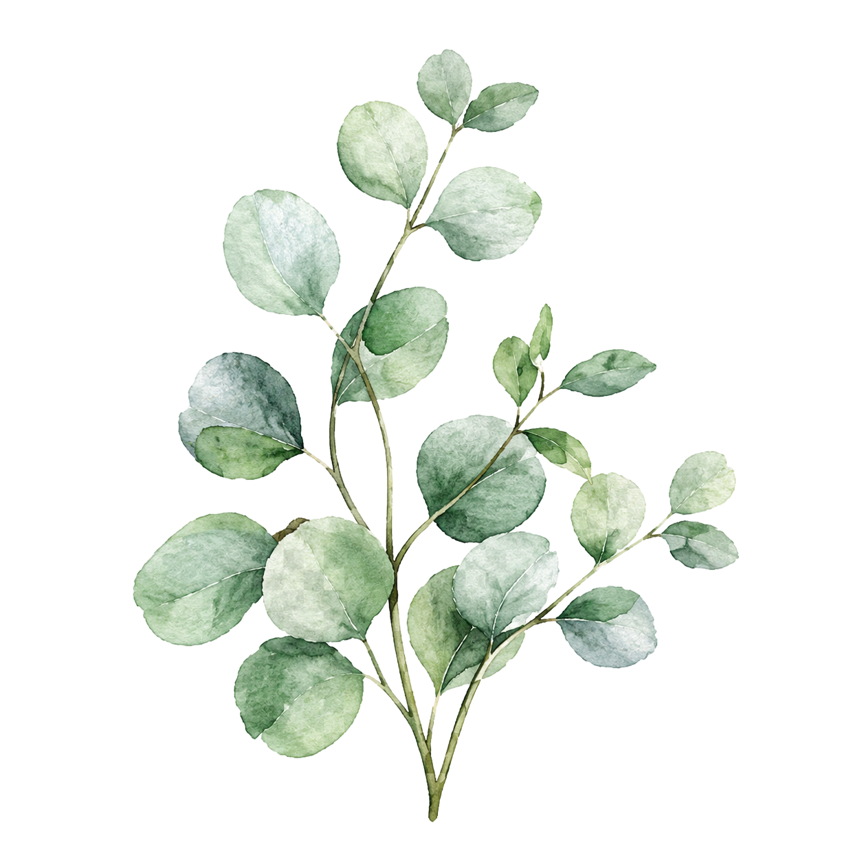 Botanical accent